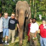 Kerala India elephant group picture
